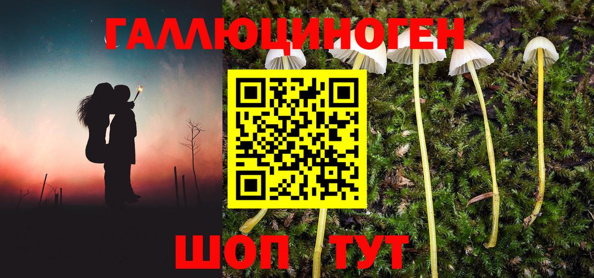 Псилоцибиновые грибы ЛСД Югорск
